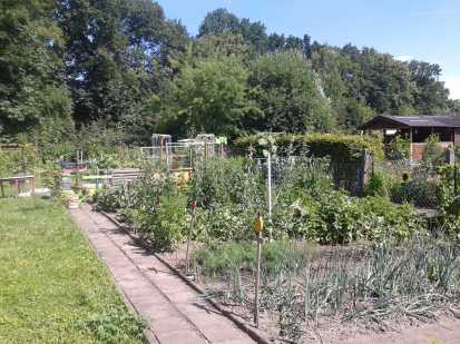 Erntezeit.