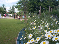 Bild: Sitzgelegenheiten an der Blumenwiese