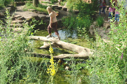 Geschicklichkeitstest: Balancierbalken über dem Teich